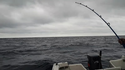 VIDEOS DE PESCA DEPORTIVA