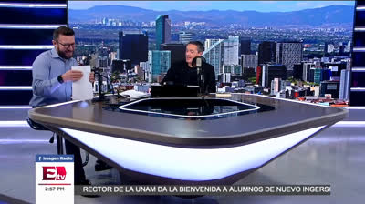 Homenaje a Nuestros Amigos Peludos: Día Internacional del Gato