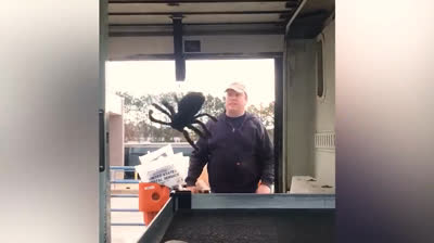 Desde situaciones inesperadas hasta bromas graciosas, estos videos están diseñados para hacer que tus mejillas duelan de tanto reír. ¡Dale play y disfruta!