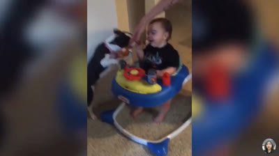 Videos Chistosos: Fails divertidos que te alegrarán el día