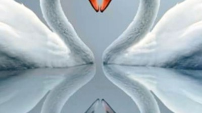 Cypress Hill ( what's your number ) , سيبراس هيل ( واطس يور نمبر )