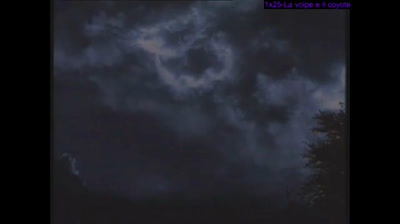 ZORRO - #25 LA VOLPE E IL COYOTE (1^ serie tv)