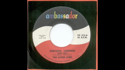 LOVED ONES (1966) - SURPRISE, SURPRISE (FOR YOU)