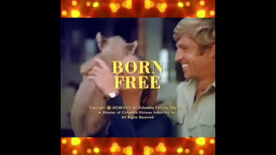 Vivre libre (série télévisée)