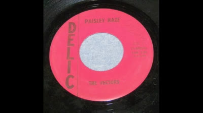 VECTORS (1968) - PAISLEY HAZE