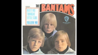 BANTAMS (1966) - MEET ME TONIGHT LITTLE GIRL