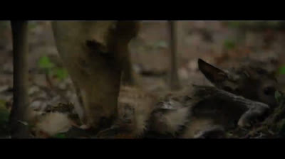 Bambi Uma Aventura na Floresta Full Movie HD New Video